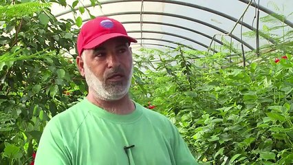 La paz sigue lejos de Gaza