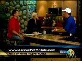 EXCLUSIVE!!Fresno CA-Aussie Pet Mobile, Mobile Pet Groomer-Mobile Pet Grooming