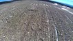 Drone Video of a Snow Goose Spread