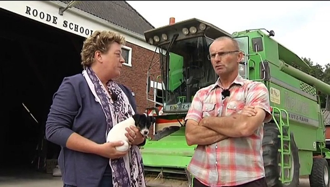Het Weer Harma bie de boer [1082015] RTV Noord Video Dailymotion