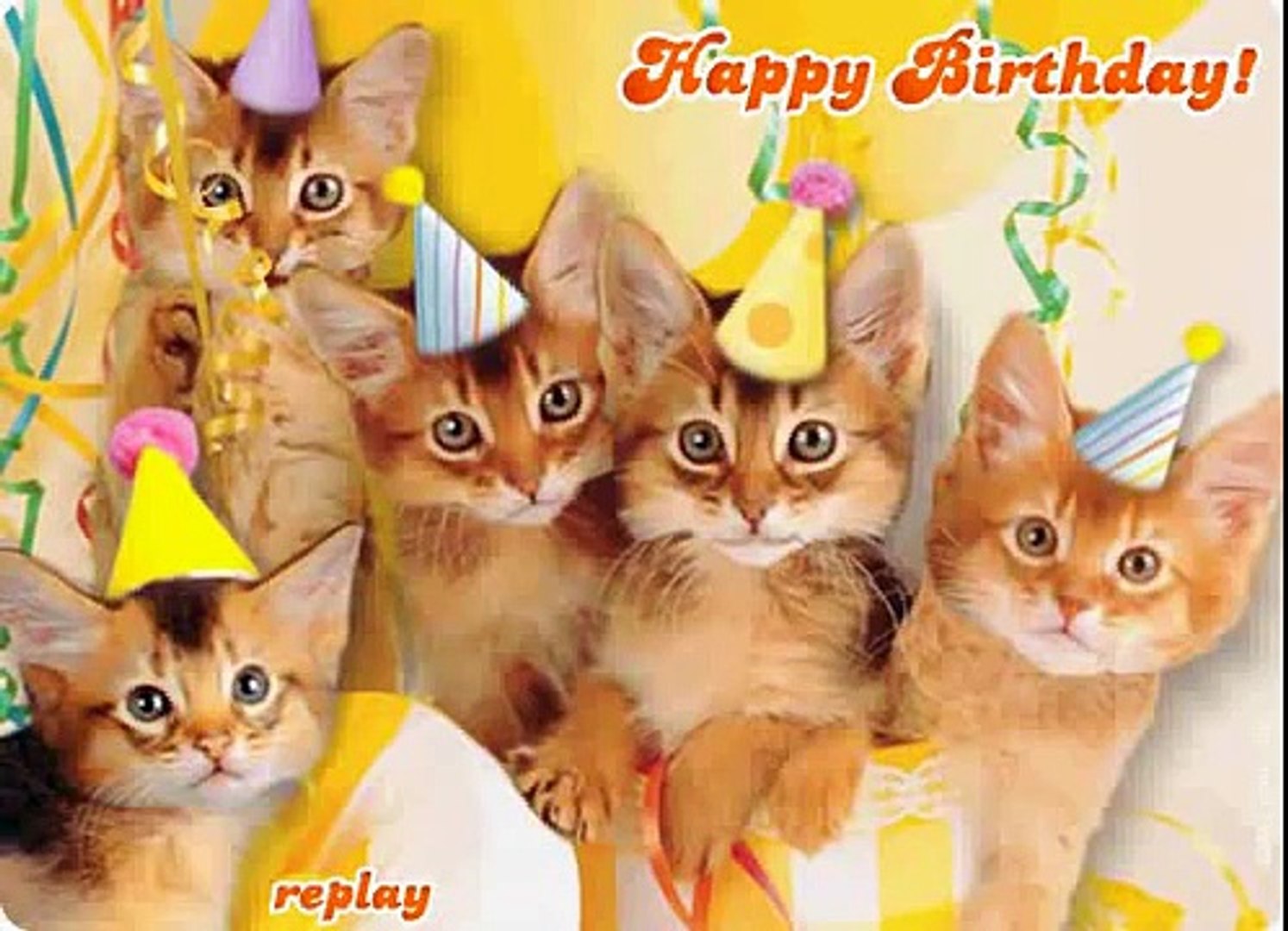 happy birthday kittens