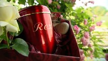 Teil 5/6 Tierbestattung Im Rosengarten - Die Übergabe