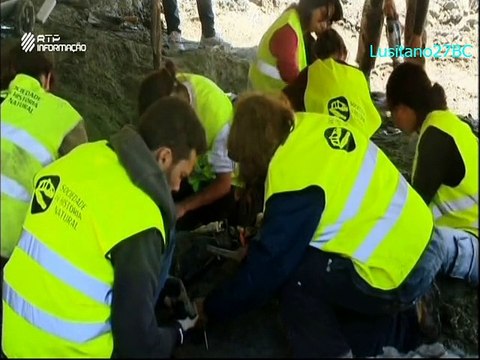 Os Nossos Dinossauros (Portugal, Torres Vedras) - RTP Informação