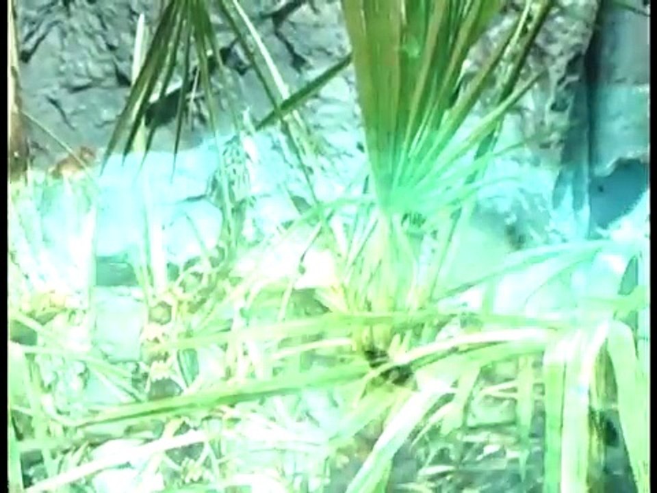 Välkommen till Universeum, Göteborg