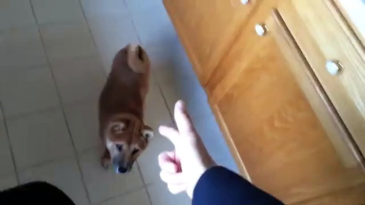 Kibo, spread 'em