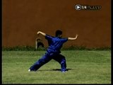 1a forma de Kung Fu Chang Chuan