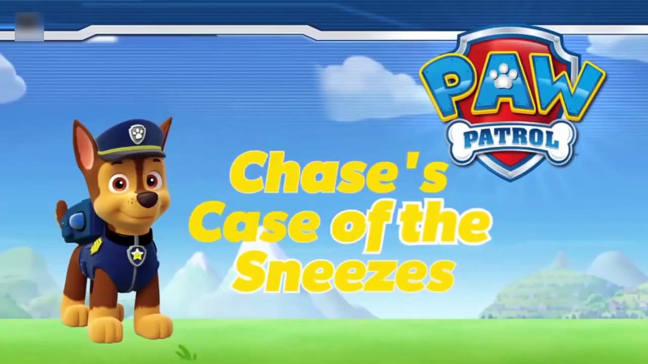 Paw Patrol - Chases Case of the Sneezes Clip