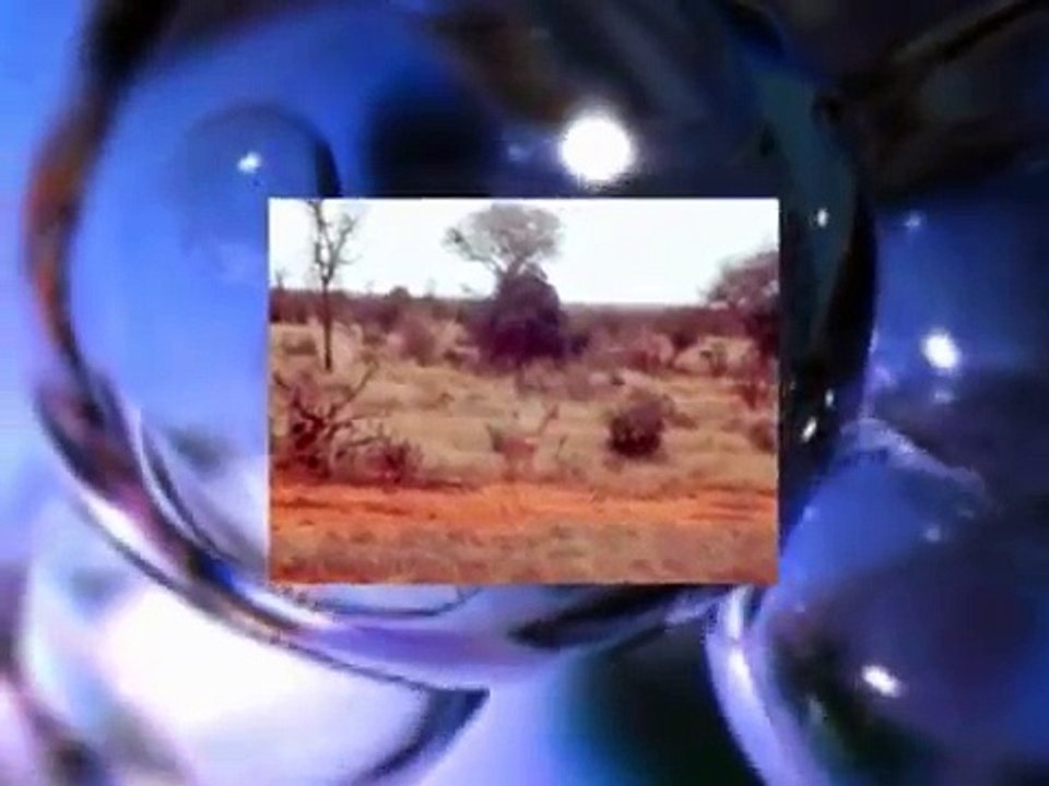 la mia africa - 1°Parte