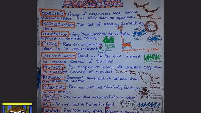 animal adaptations worksheets 5th grade - video Dailymotion