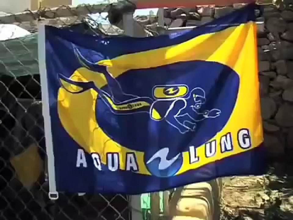 ¿Conoces una escuela de buceo como esta?