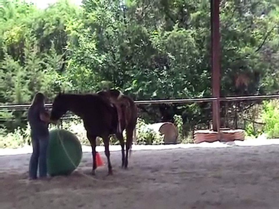 Having a ball