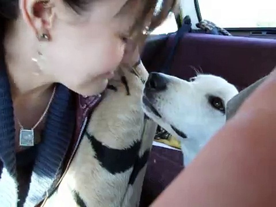 Dog kiss