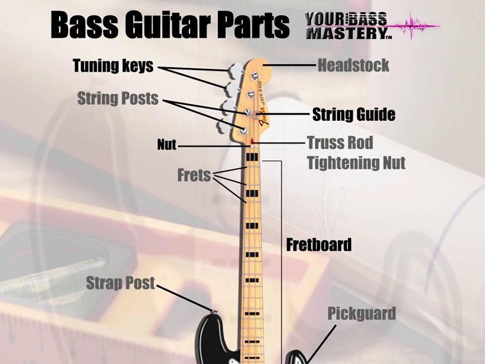 Bass Guitar Lessons For Beginners Tip #3 Learning the Parts of Your Bass