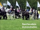 28 mei 2011 - 20e Dag van het Aangespannen Paard met Kortebaandraverij