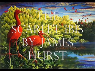 The Scarlet Ibis