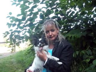 Mais chien papillon Coyotte & Cheyenne et les bébé   1