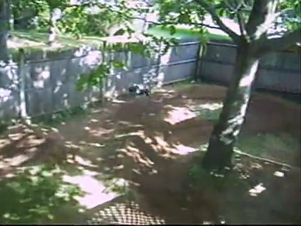 T-Maxx 3.3 VS. Revo 3.3 Shootout!