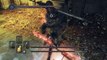 Dark Souls II SotFS - NG+ All Bosses // 21 : Dragonriders