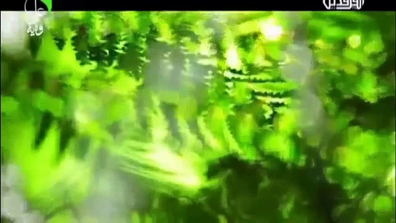 مصطفى الربيعي +محمد الحلفي   كولو انتعنه