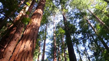 Top California Cruise Shore Excursions from "The Travel Mom" - Princess Cruises