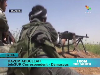 Syria – Turkish Buffer Zone Questioned