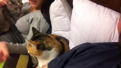 @Vardoc Random Life ( Parte 796 ) : Mañana Festigame 12/08/2015