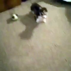 Dis moi quelque chose de mignon