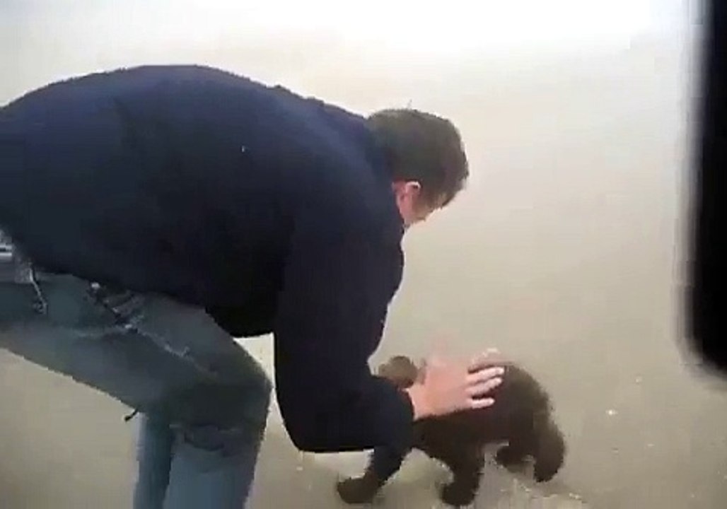 A BEAR ATTACK OF THE CUTEST KIND