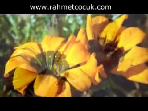 Grup Cennet Kuşları - Kutlu Doğum