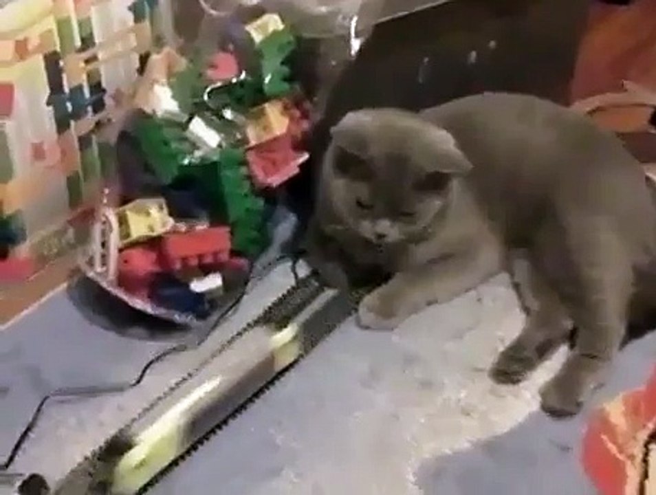 CAT DEPRESSION CAN MAKE YOU WANT TO BE DEPRESSED