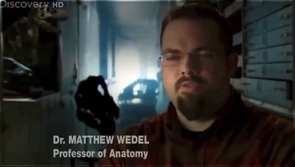 Dinosaurs-Part 2-Perfect Predators (HD full documentary)