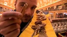 Insecten: het voedsel van de toekomst?