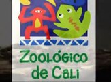 Anfibios - Zoologico de Cali
