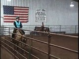 Dexter in Senior Western Pleasure 2008 County 4-H Show