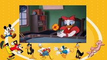 Donald Duck cartoon episodes 03 Donalds Dilemma 1947 DVDRip
