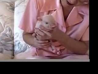 HALF  PIG  HALF  HUMAN !!!!!!!!!!!!!!!!!!!!!!!!!!!!!