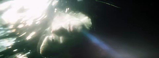 Linkin Park - The Catalyst