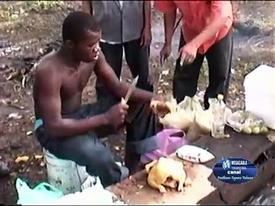 REGRESA EL TREN DE LA MUERTE PARTE III