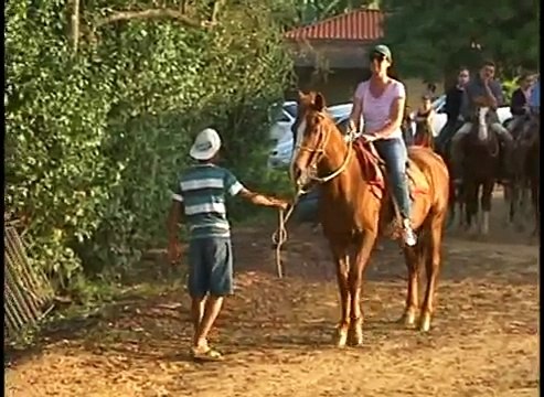 CATI - Revista Casa da Agricultura - Turismo rural Sítio São José Campinas