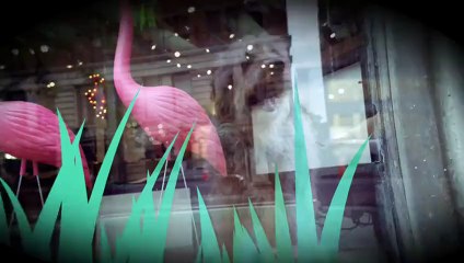 Naughty Boy - Home ft. ROMANS