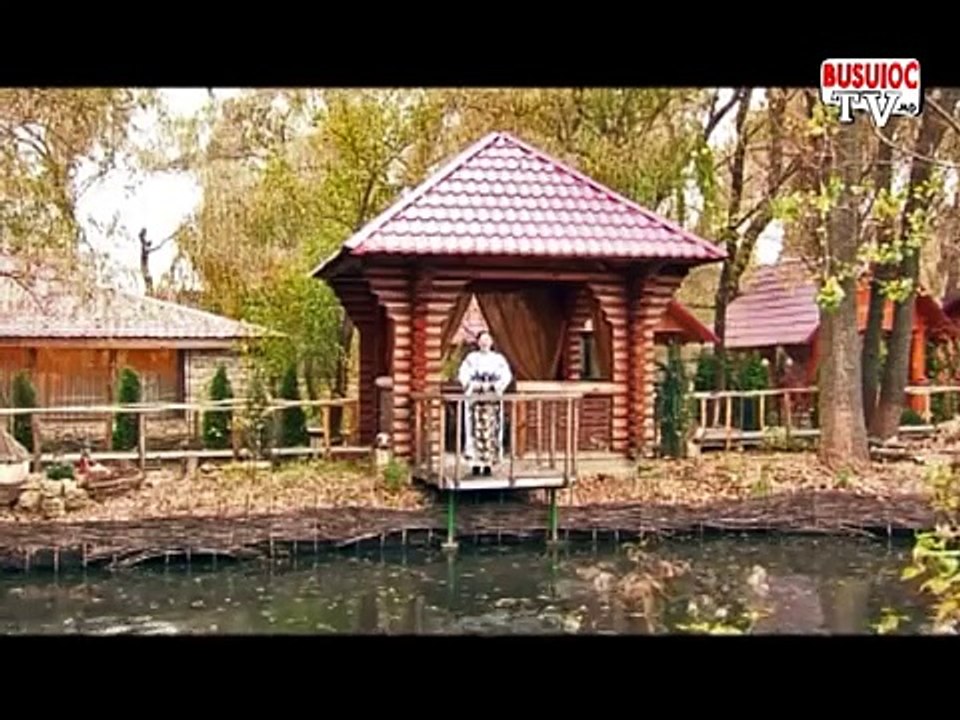 Lenuta Gheorghita-Am crescut fecior si fata.mpg