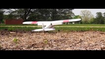 HobbyKing Product Video - Bush Master 1550mm Sport Plane