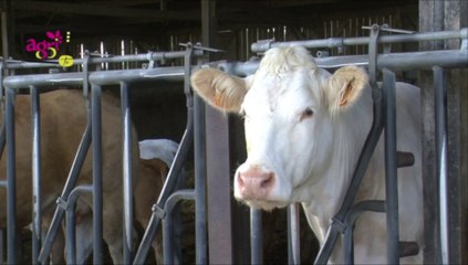 BestOf Agri85 TV de l'été #2