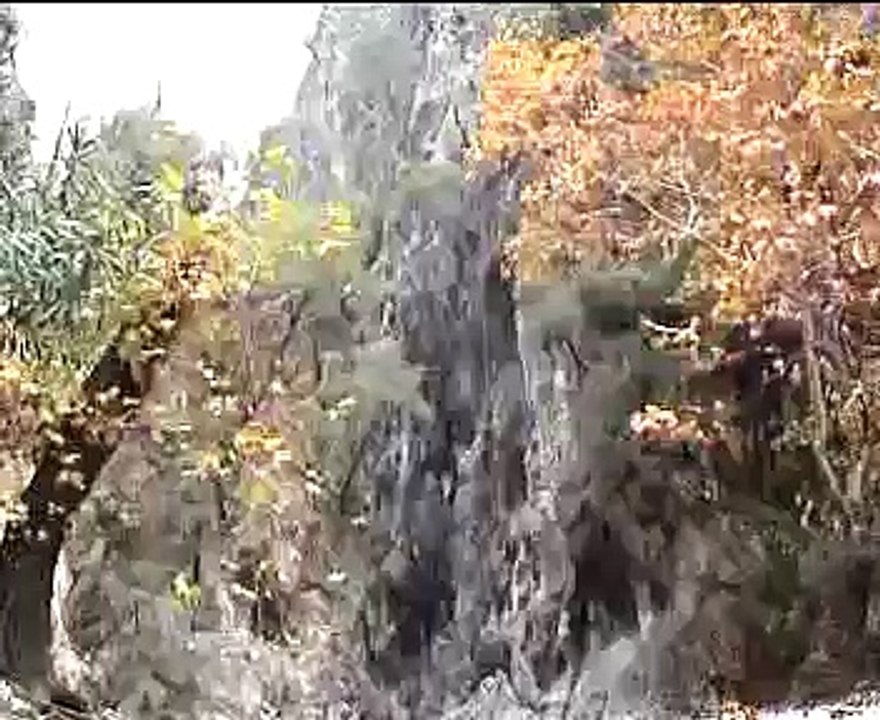 Arıcılar Koyu Ula Muğla