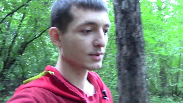 Множественные источники дохода