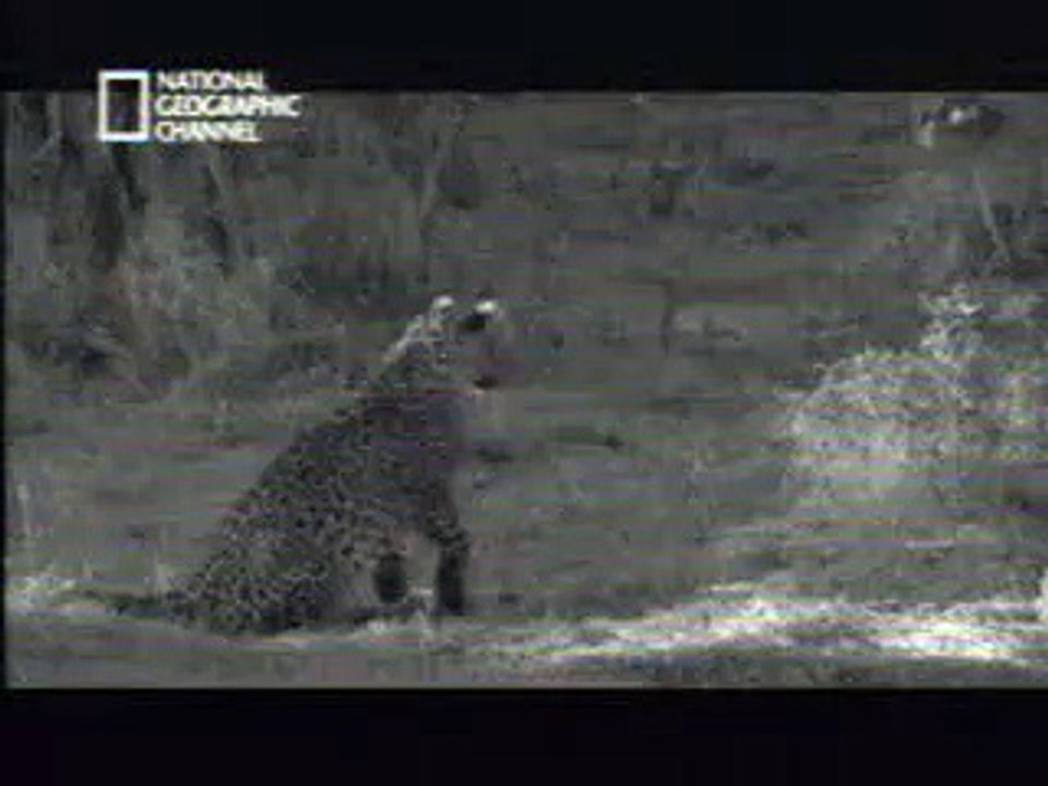 Probabil cel mai bun film National Geografic