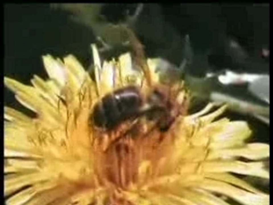 Test macro