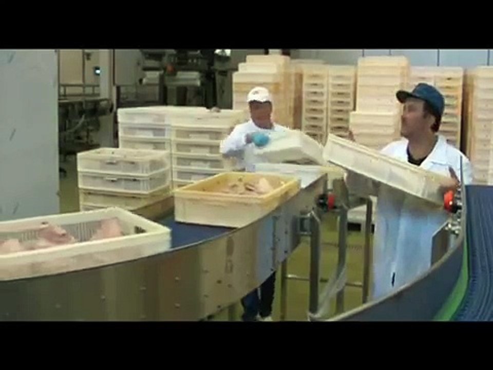 Tuna Processing - JBT