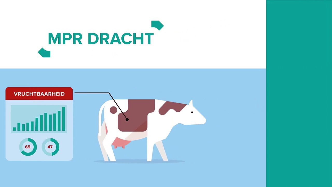 MPR Dracht - meer zien in melk