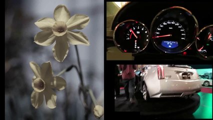 新型キャデラックのエンジン音がヤバい！　アメ車